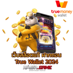 เว็บสล็อตแท้ PG เว็บตรง ลิขสิทธิ์แท้จากยุโรป 3 เว็บสล็อตแท้ ฝากถอน true wallet